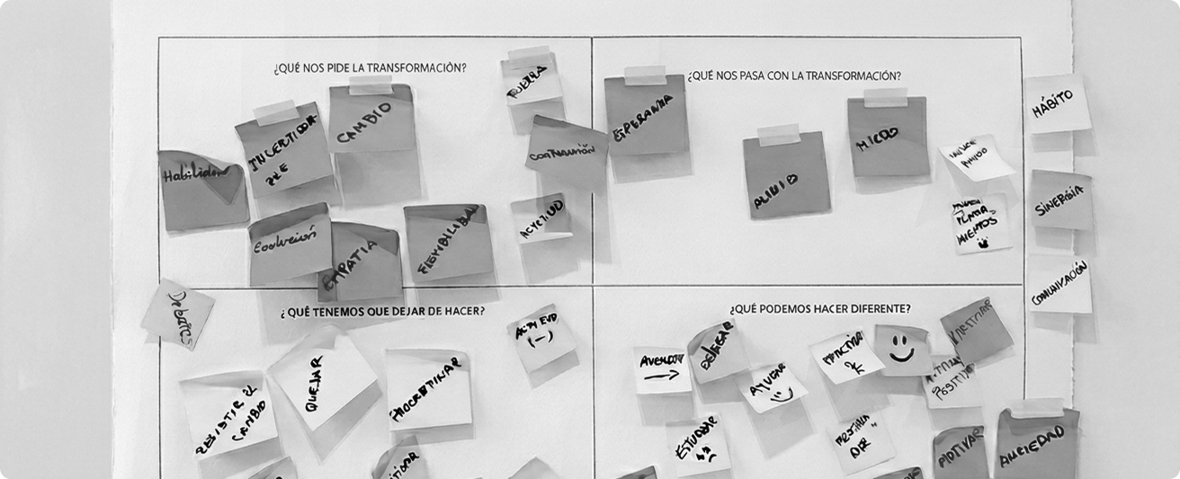 Mapas de talento, identificación de capacidades  y planes de sucesión organizacional