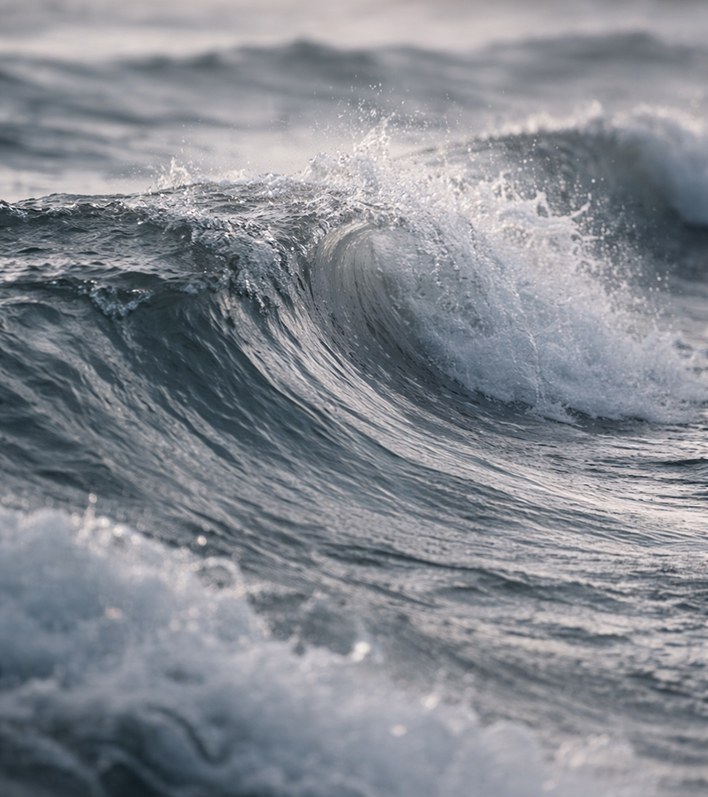 Arquitectura editorial modobeta